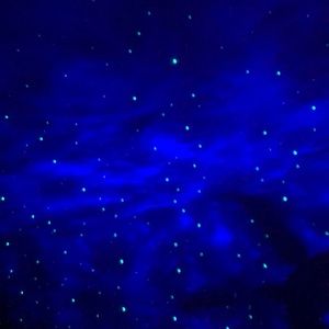 Meet your Posher, Sadie